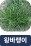 main-img