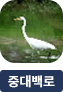 main-img