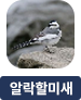 main-img