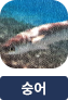 main-img