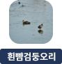 main-img