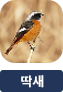 main-img