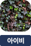 main-img