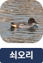 main-img