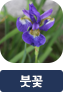 main-img
