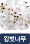main-img
