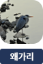 main-img