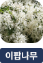 main-img