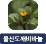 main-img
