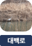 main-img