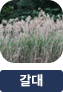 main-img