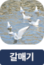 main-img