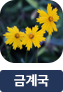 main-img