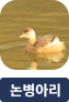 main-img
