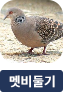 main-img