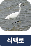main-img