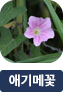 main-img