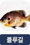 main-img
