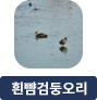main-img
