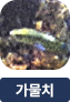main-img