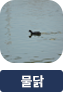 main-img