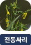 main-img