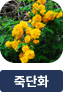 main-img