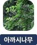 main-img