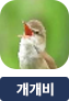 main-img