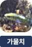 main-img