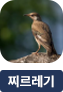 main-img