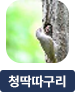 main-img