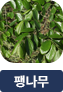 main-img