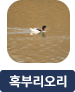main-img