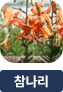 main-img