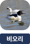 main-img