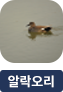main-img