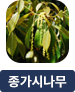 main-img