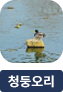 main-img