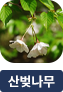 main-img