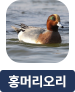 main-img