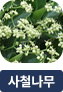 main-img